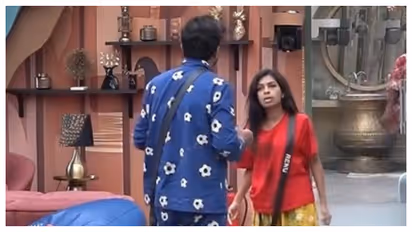 aneesh and renu in bigg boss
