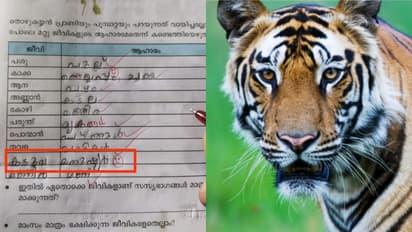 tiger attack wayanad 