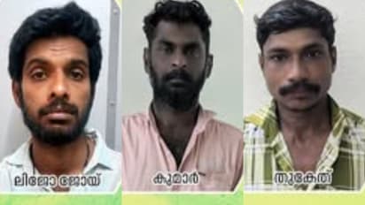 Youths arrested with cannabis