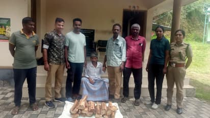 sandalwood smuggling