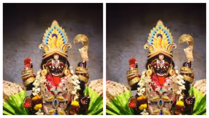 বাঁকুড়ার চৌধুরী রাজবাড়ির মন্দিরে পূজিত মা মৃন্ময়ী, ৪০০ বছরের জীবন্ত ইতিহাস!