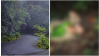 unidentified body in Attappadi churam