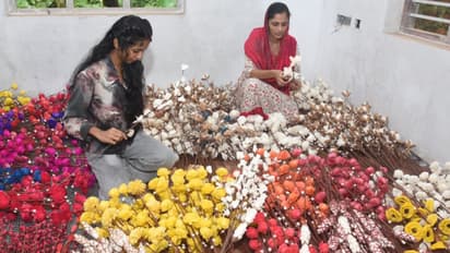 shahina malappuram craft