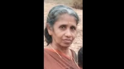 malappuram wild elephant attack 