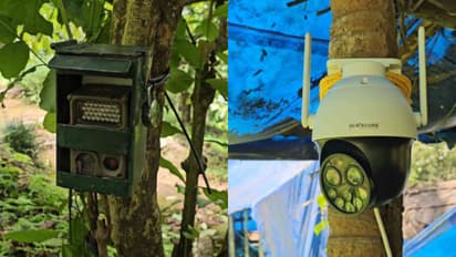 tiger spotted in karuvarakundu