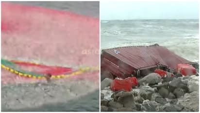 msc elsa ship container