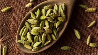cardamom