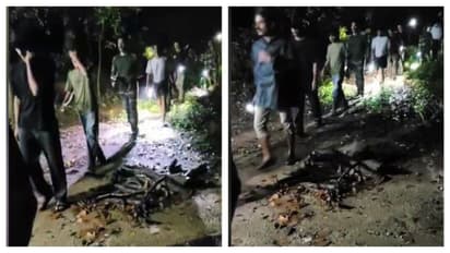 forest department case