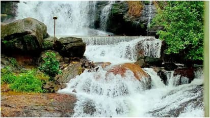 Areekkal waterfalls