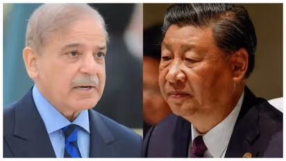 xi jinping shehbaz sharif