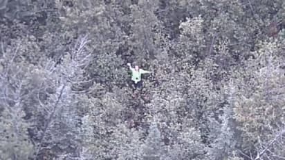 woman missing in Michigan forest