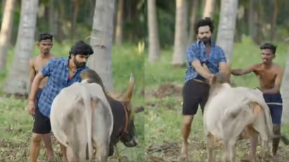 tamil actor ashok kumar attacked by a bull during shoot of Vada Manju Virattu 