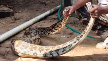 python rescue malappuram