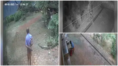 stole coconut and arecanut worth rs 50000 from home owner saw from Bengaluru via cctv