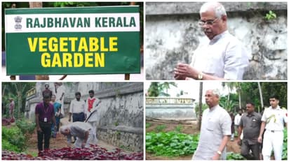 Governor Arlekar Leads Harvest