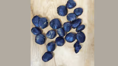 cannabis candy seized from Kerala