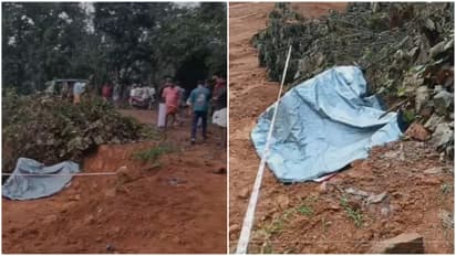 husband killed wife in mannarkkad