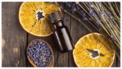 lavender-essential-oil