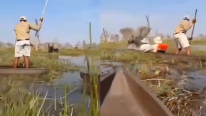 elephant charges at tourists