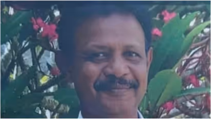 stray dog causes bike accident