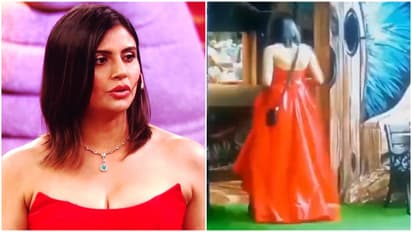 bigg boss malti chahar