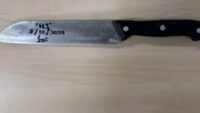 woman cuts off lovers privates parts