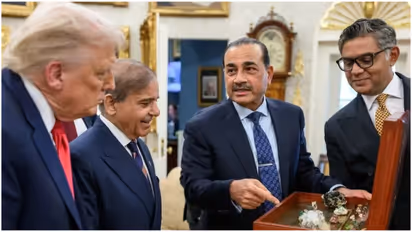 Trump Pak Gift Box Mystery