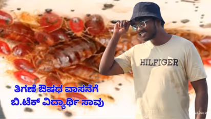 Bengaluru Bed bugs medicine