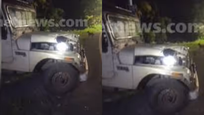 Wild elephant attack