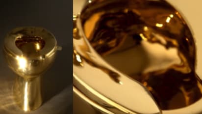 Golden Toilet
