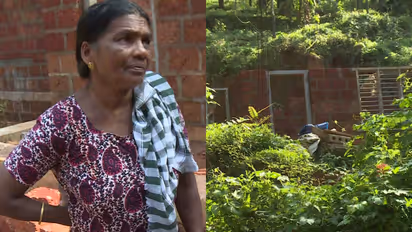 Geology department fine