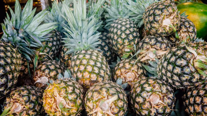 pineapple