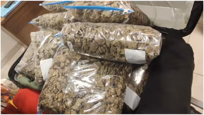  Chennai airport drug seizure