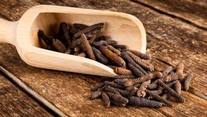Long pepper 