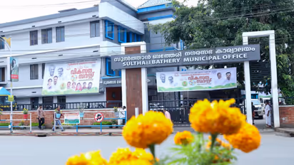 Sulthan Bathery local election news