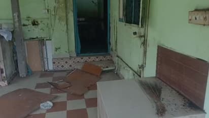 wild elephant attack