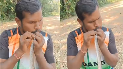 Man saves electrocuted snake's life 