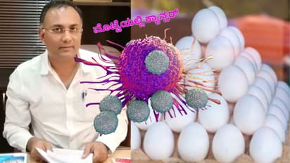 Karnataka Eggozy egg Cancer