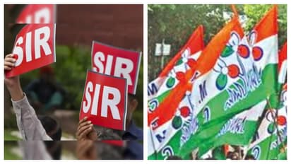 বাংলাদেশি নাগরিক তৃণমূলের পঞ্চায়েত সদস্য, তৃণমূল নেতার অভিযোগ জমা দিয়েছেন জাল তথ্য