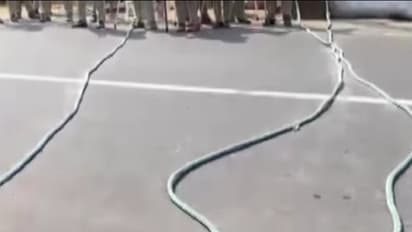 Police Rope