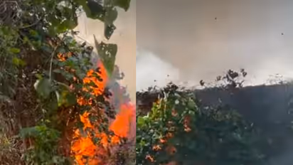 rubber estate catches fire