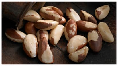 brazil nuts