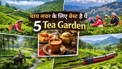 5 famous tea garden of india