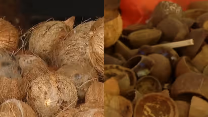 Coconut shell price