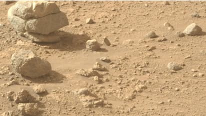 Mars Rock