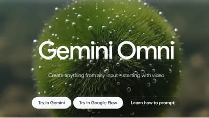 Gemini Omni