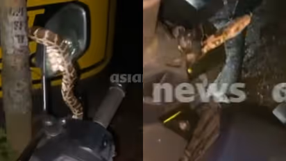 snake scooter
