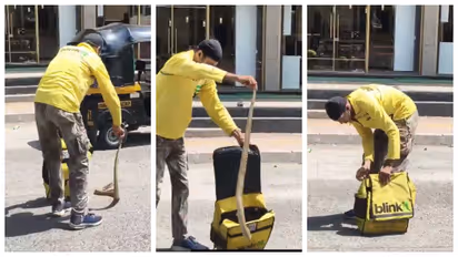 Blinkit agent catching snake