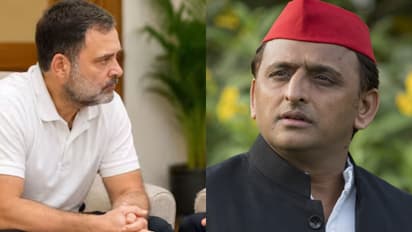 Congress Samajwadi Party Alliance
