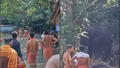 kottiyoor temple